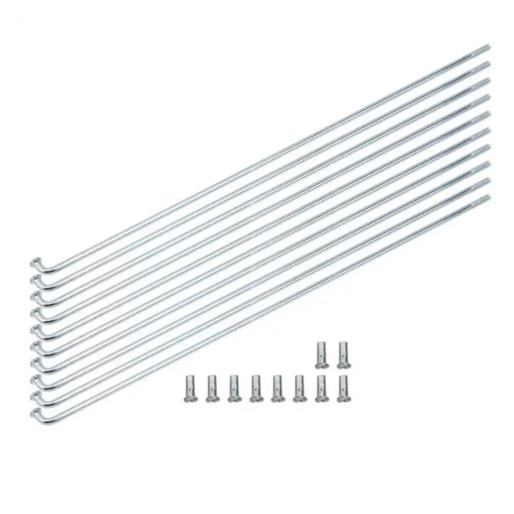 Usxinyan Stainless Steel 13G Bike Spokes (10-Pack)